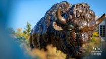 Zoom image: Buffalo statue